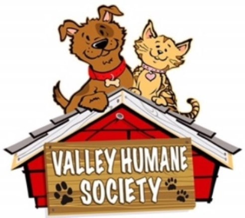 Valley humane consevative minds and humor sarcasm nuance